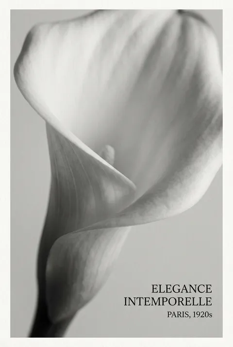 Tall Photography - for wall decoration | poster.sh